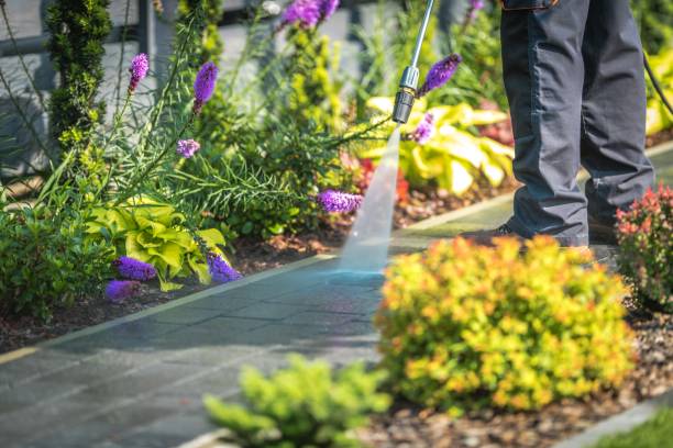 Best Residential Pressure Washing in North Belle Vernon, PA